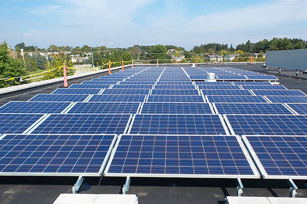 5 things that every Industry should consider before going solar