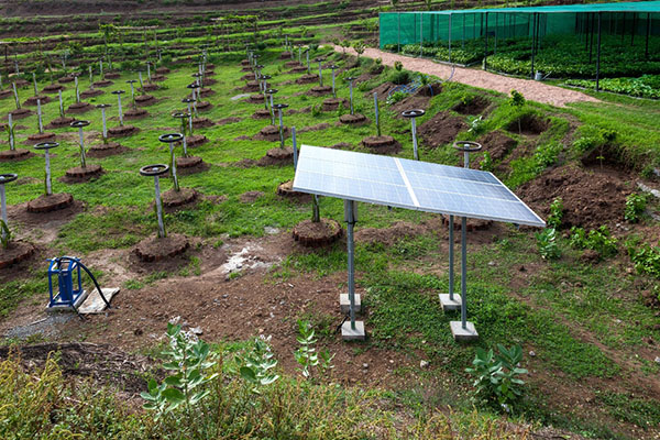Revolutionize the farming industry with Novergy solar pumps