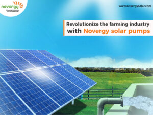 Revolutionize the farming industry with Novergy solar pumps