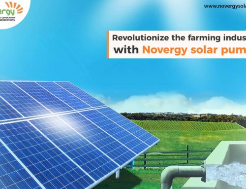 Revolutionize the farming industry with Novergy solar pumps