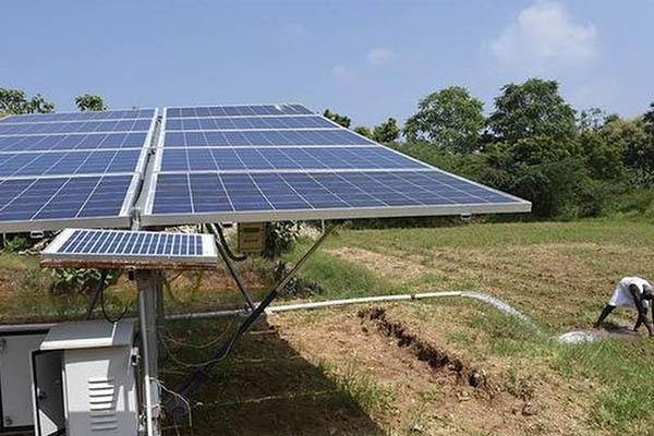 Powering the future of agriculture with Novergy solar water pumps