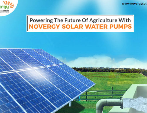Powering the future of agriculture with Novergy solar water pumps