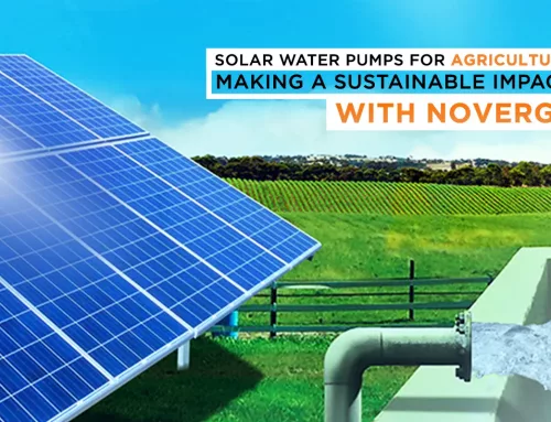 Solar Water Pumps for Agriculture: Making a Sustainable Impact with Novergy