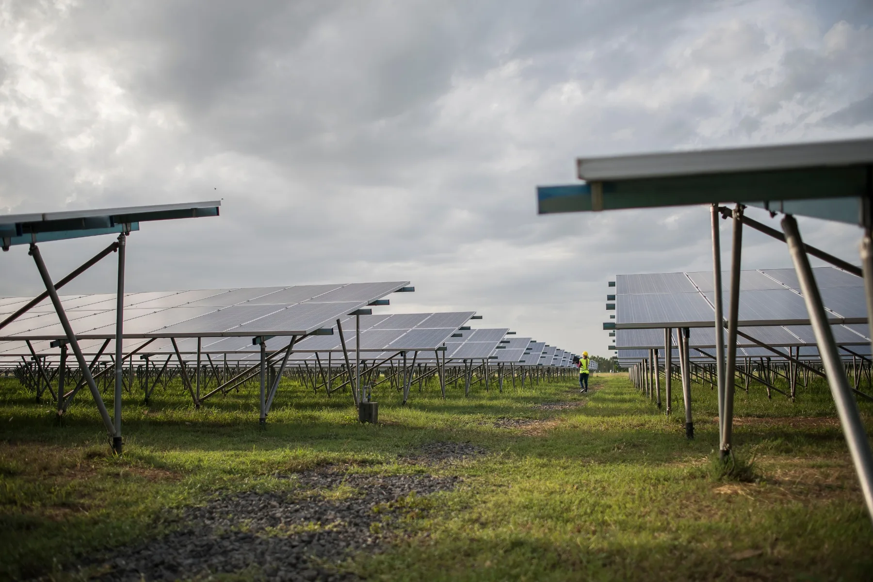 solar panels for untility purposes