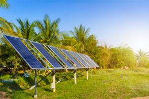 Agro-photovoltaics solar panels