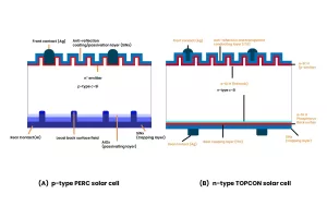 PERC Solar Cells and TOPCon Solar Cells structure