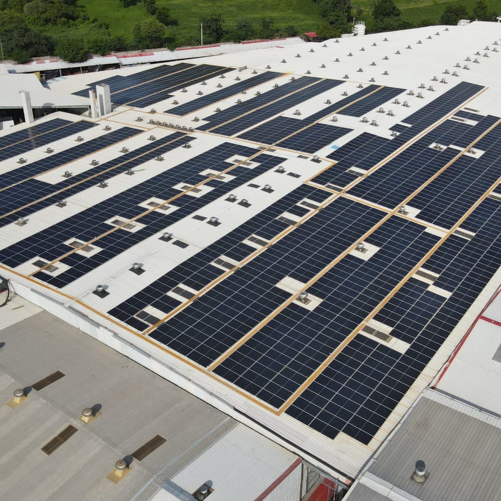 Power up with the sun, go solar today